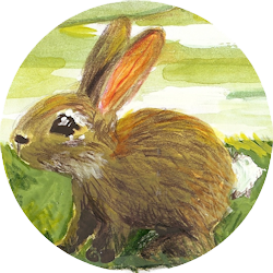 Hase (c) Bettina-Maria Henze