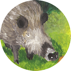 Wildschwein (c) Bettina-Maria Henze