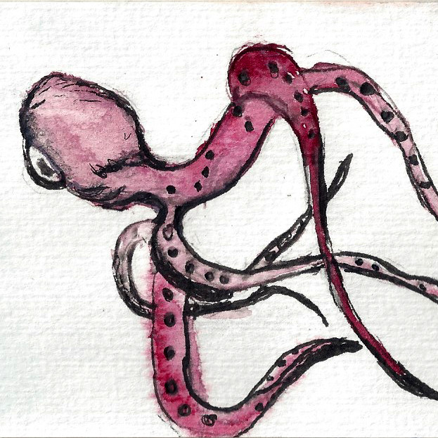 Oktopus (C) Ulrike Ulbricht-Klein